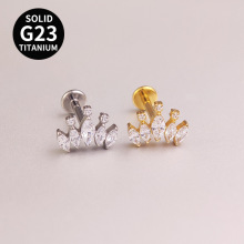 �羳G23/F136⁺Ͻ𴩴��Ʒ�R���ʯ�ʹڴ�ᔂ����p�݃������