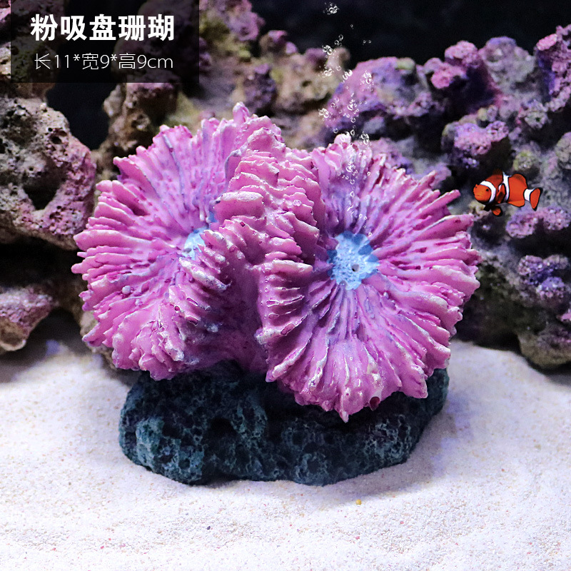 珊瑚1728