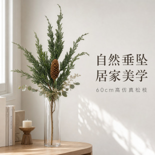 �羳���R�d����Ȱ��Ɏ��ɹ� �}�Q�b廨�Gֲ �ә����쾰�٘�֦