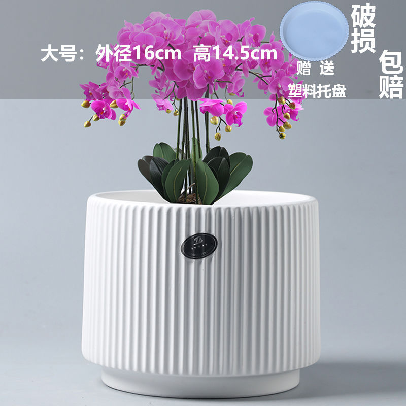 Large athens ancient porcelain white (comes with tray)