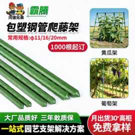 跨境植物爬藤架子豆角丝瓜蔬菜支架爬藤杆黄瓜爬藤架加厚包塑钢管
