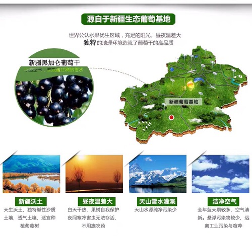 Xinjiang Specialty: Seedless, Large-Grain Black Currant Raisins—Delicious Snack from Aksu, Direct Shipment!