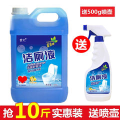 【強力に汚れを落としても磁器を傷つけない】トイレ洗剤トイレ消臭トイレ霊卸売り家庭用