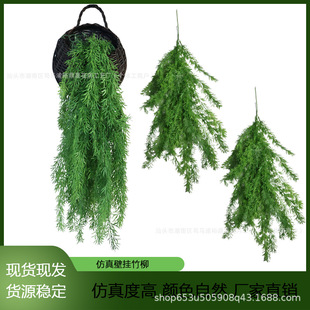 �ҾӠ���������L�Gɫֲ��ڒ����ֲ�����������b�