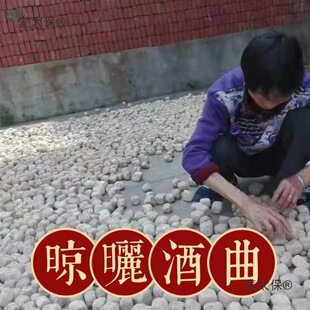 j8���ưl�Ͱ�̑B�l��ᄾƂ��y��ˇ���������ĸ�̑B������̫��