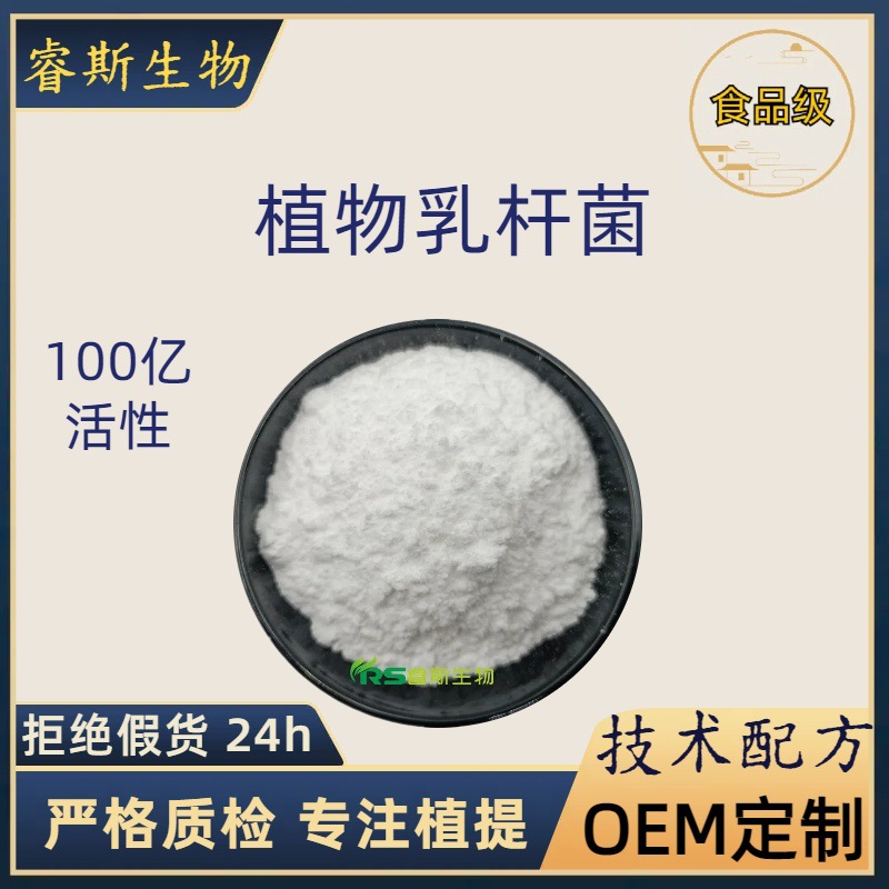 Manufacturers Lactobacillus plantarum 10 billion freeze-dried probiotic ...