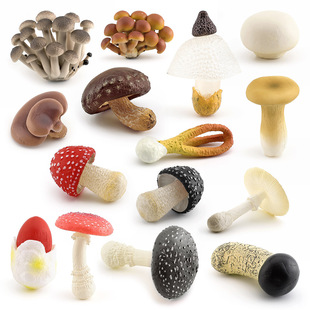 �羳�������Ģ��ģ���㹽�׶��Z����漧�������p�U�����K��[��