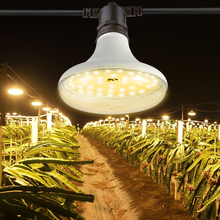 LEDֲ�����L����̫ꖹ⻨�ܾGֲ���̦�\����������ջ����߲�