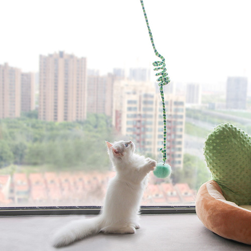 Cat Door Hanging Swing Toy with Suction Cup, Interactive Plaything for Cats, Self-Help Entertainer for Kitten, Cat Elastic Rope with Bell Ball