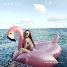 �¿�õ�������B��ӾȦ���ӳ�����T��������ˮ��Ư����ߚ�|