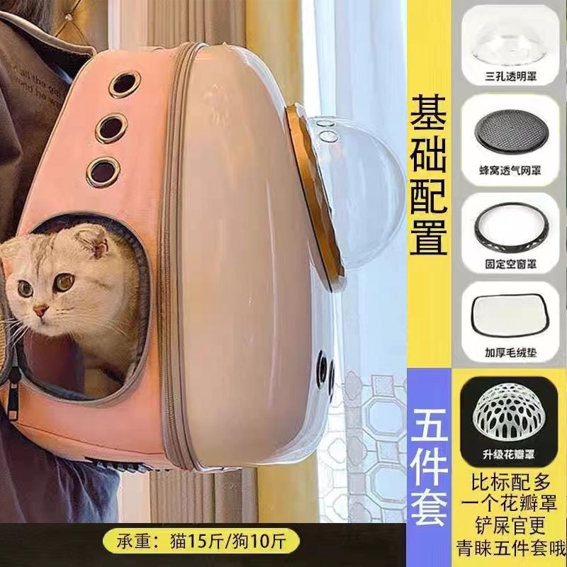 백색분말[황금원]