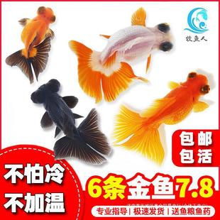 ������~���~�^�p�~С�͵�ˮ���B��ˮ�~�~������С���~�m���\��