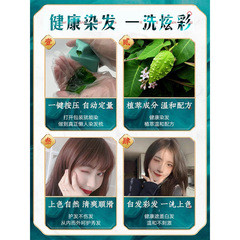 Brimles Bubble Hair Dye: A Natural Plant-Extract Formula—One Tube for Black-to-Color Transformation, Easy Home Application with Just Water