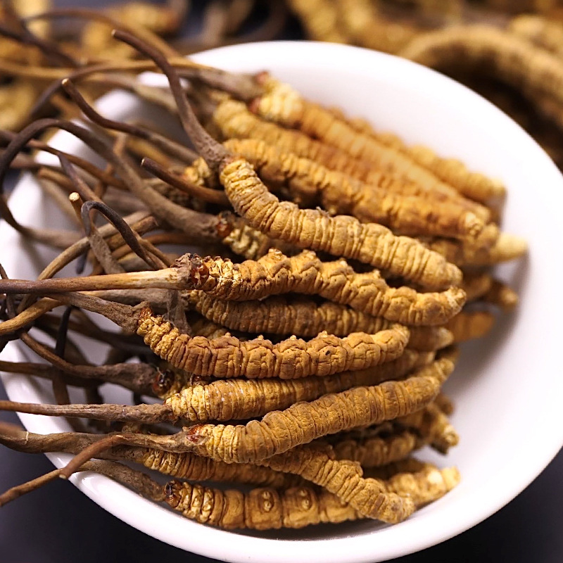 93ab248856598fa99393b900cee321