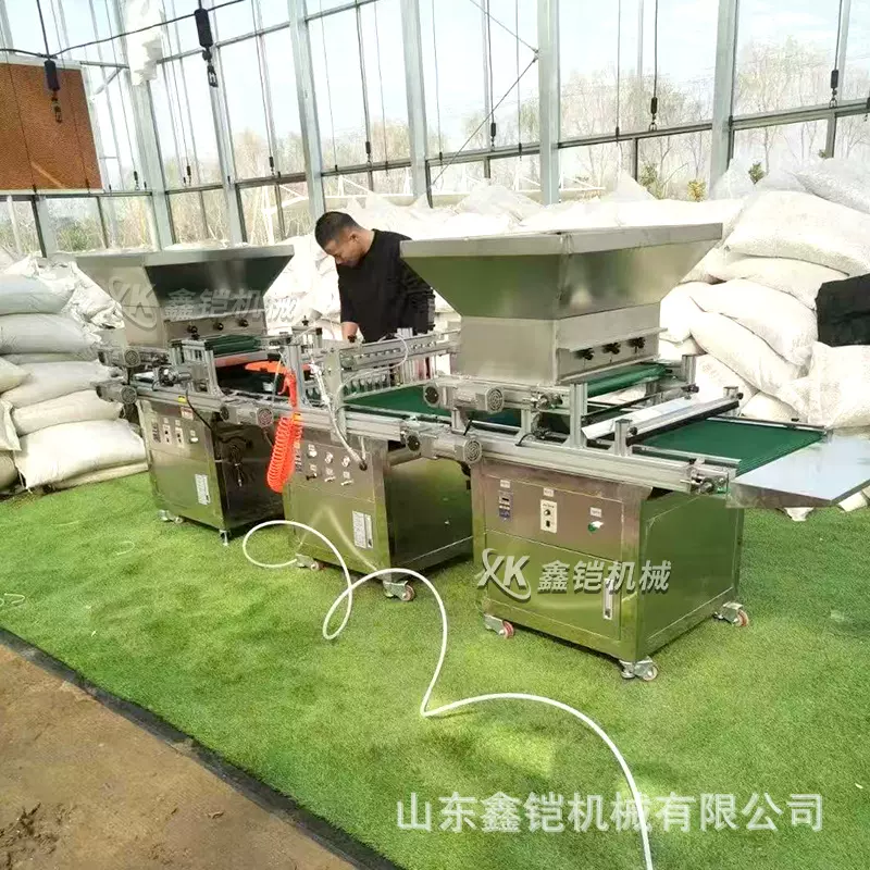 穴盘育苗播种机全自动流水线种子点播机农业大棚用蔬菜穴盘播种机