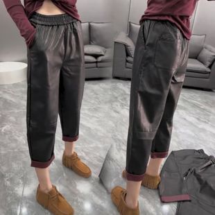 2026�¿�r�б�ů����Ƥѝ�@��PUѝŮ��������������e�ŷ��}��