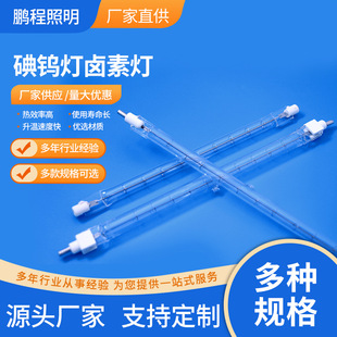 东海县鹏程照明电器有限公司