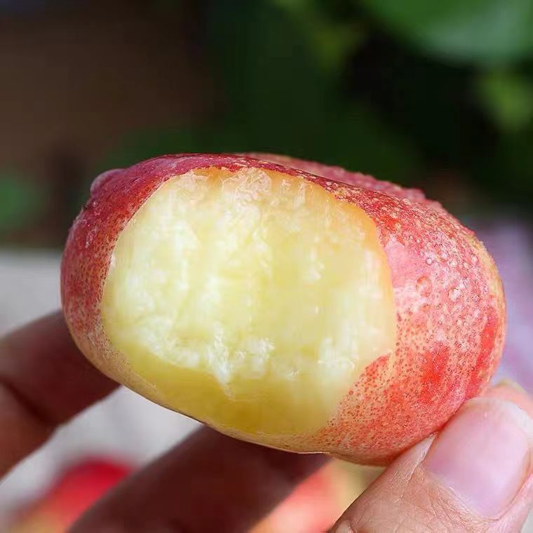 陕西纽扣油蟠桃 5斤红油蟠油非毛新鲜现摘现一件代发蜜桃