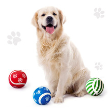 梵米派famipet狗狗玩具網球拋接互動磨牙訓練益智玩具