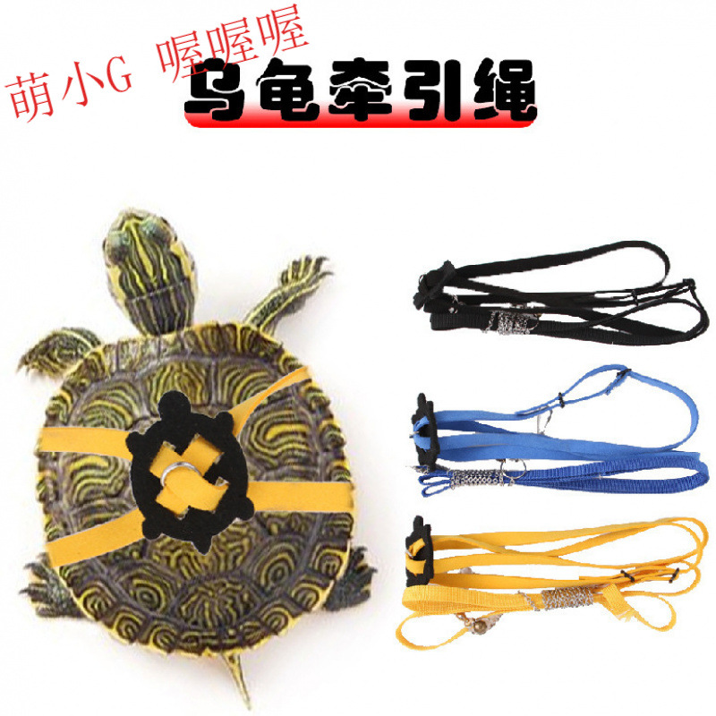 무료 배송 거북이 산책용 로프, 거북이 로프, 거북이 견인 로프, 거북이 로프, 애완동물 견인 하네스, 외출용 날개 로프, 달리기
