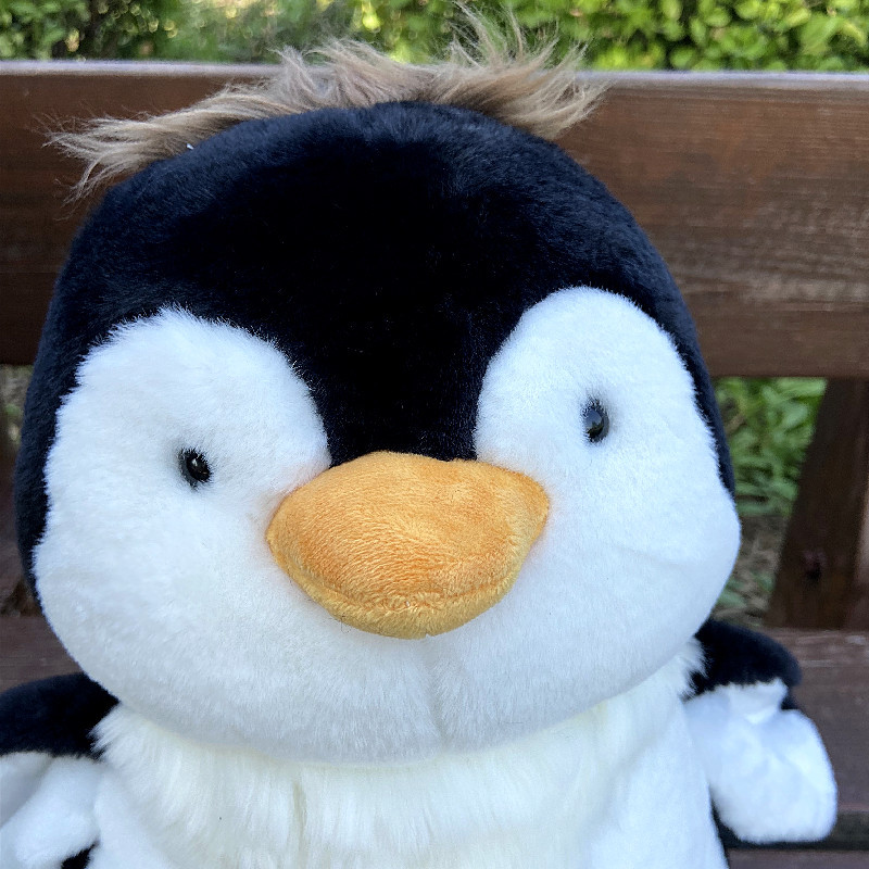 06EE931B989697208334D6AD76ABC1