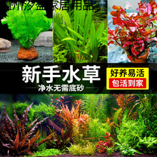 �~��ˮ��ֲ��������ˮ���o���쾰ˮ�����к�ˮ�M���ײ�