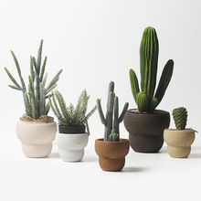 ���Wins�L�͏d�����մ����Ի����������b[��ˇ�g�~�X����̦