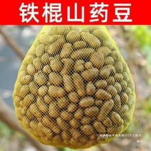 2025����ɽș�����r���Ͻ����F��ɽș�����rС̖5��3ɽș���Ǻ��J