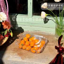 现货一次性水果盒透明加厚果蔬包装盒蓝莓榴莲提子塑料打包盒带盖