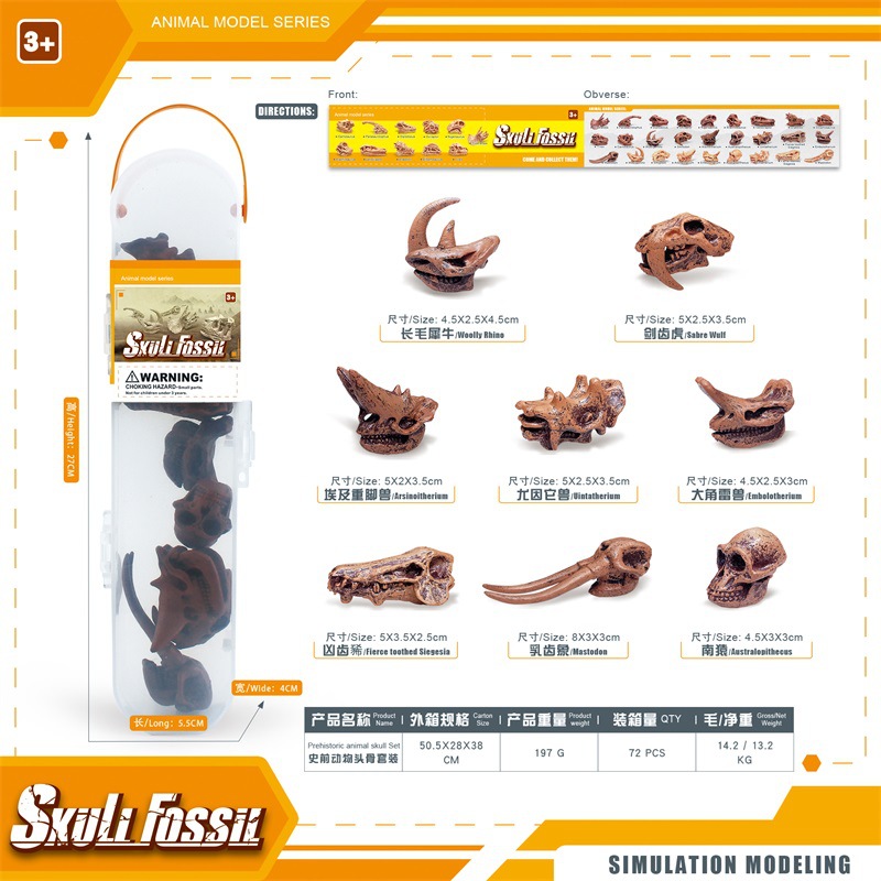 Simulación transfronteriza mini cráneo de dinosaurio modelo de cráneo animal prehistórico esqueleto traje fósil adornos estáticos enlatados