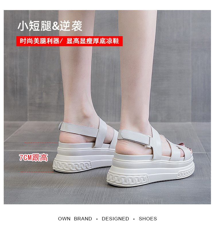 65017详情页_04.jpg