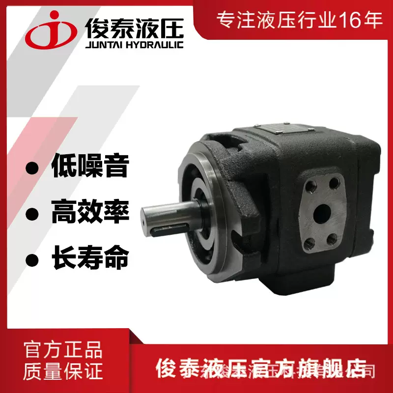 厂家直供 双向流量压力平稳齿轮泵 伺服变频驱动内啮合齿轮泵