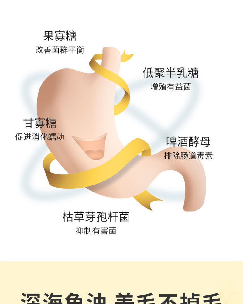 fa3912c4-d7be-444b-a076-220fb9fba0a0.jpe