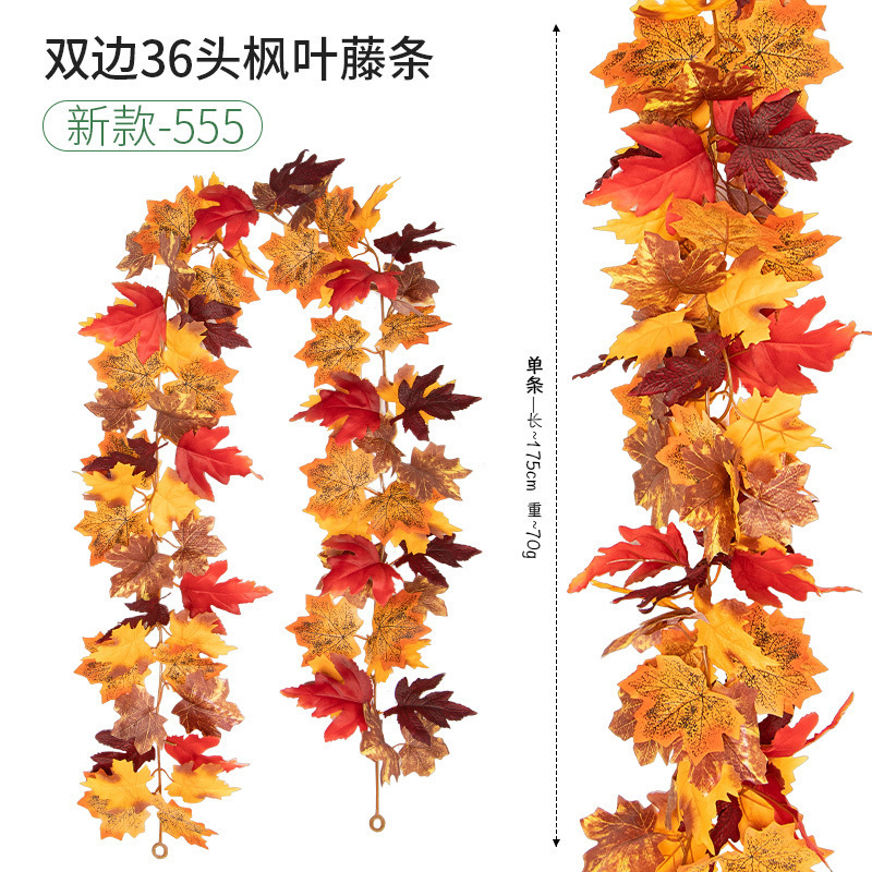 36 new model -555