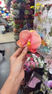 �¿��������m3d��ӡ ���滨diy���ֶY����b������ջ�c���l