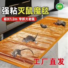 猫山王粘鼠魔毯任意剪加长加大60厘米粘鼠板老鼠贴捕鼠器一件代发