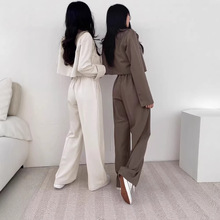 2025�¿�tɫ����С�������º��s�ٴ�ͨ���n�恆�R�d���l