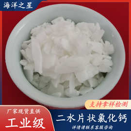 厂家批发工业级氯化钙 74含量片状10035-04-8 高含量工业CaCl2