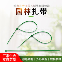 �����ٗl�̶������@����� �@��ֲ���������� �@������