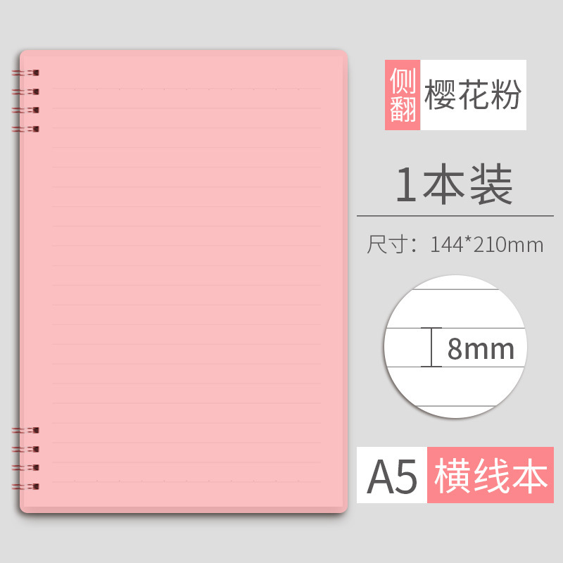 A5 벚꽃가루