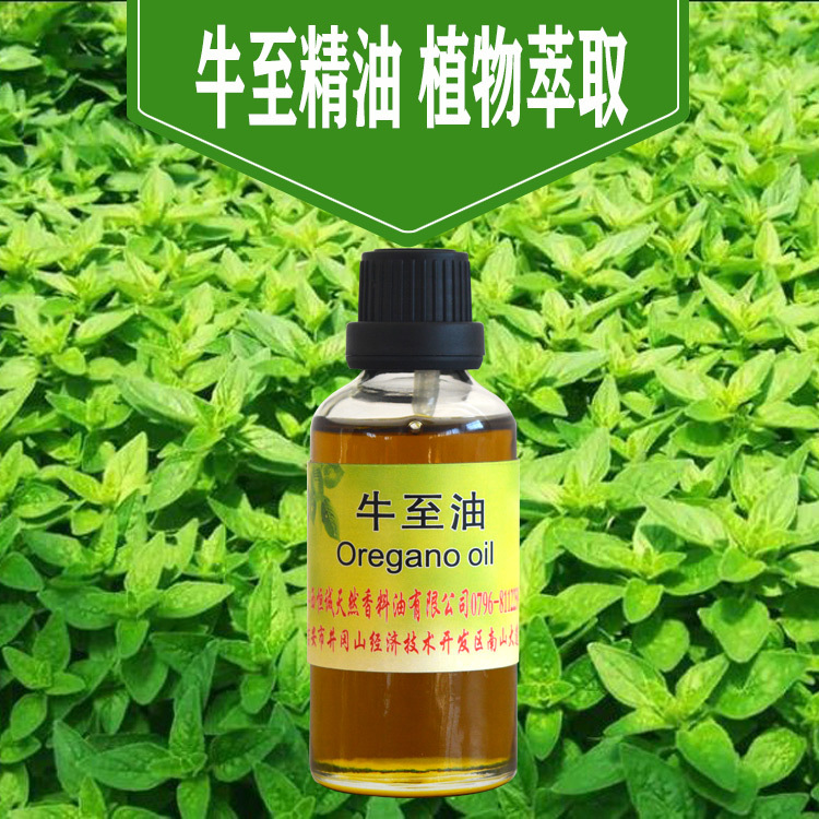 源头厂家现货供应牛至油 饲料添加原料油植物精油