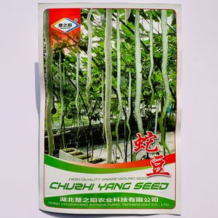 �߹ϷN���߶��ǷN���L�߶��ļ��������r����@��ɫ�߲˷N��