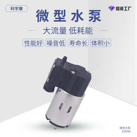 电动喷雾枪23bpw 咖啡机无线充喷雾泵喷枪消毒雾化喷雾器微型水泵