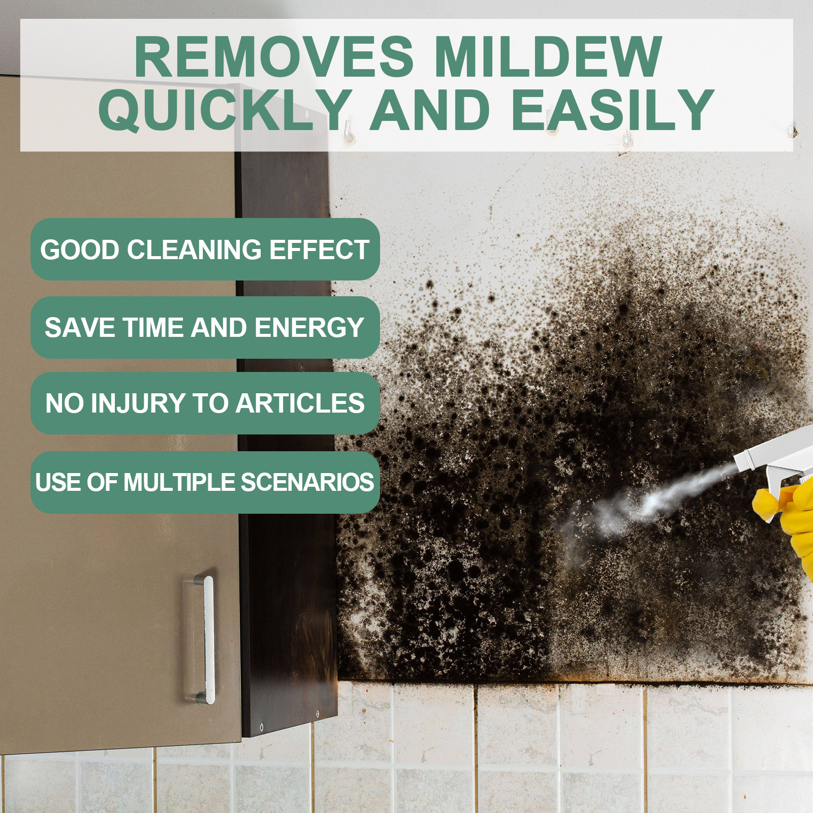 Jue-Fish Mold Remover Image 5