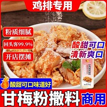 正宗甘梅粉撒料酸梅粉梅子粉鸡排撒粉炸鸡地瓜条薯条水果蘸料商用