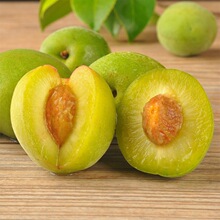 �������l��÷��޽����÷��÷������ɿ�÷�����ϱ����Nֲ������