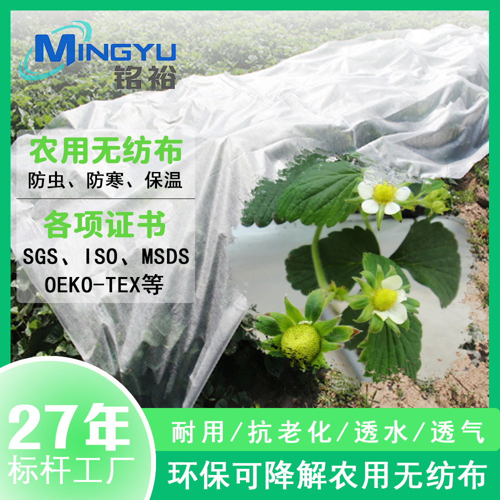 草莓柑橘果树防寒布透光透气防霜防冻保温布农业用卷材保温无纺布