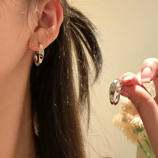 ins Cold Style Earrings 2024 New Popular Earrings Niche Design High-end Earrings for Women
