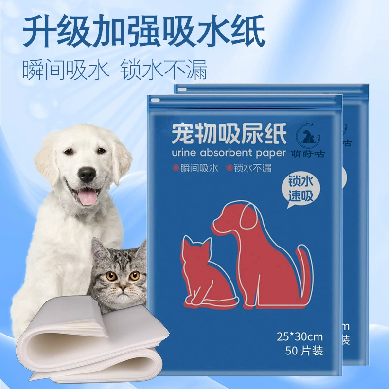 Собака сосет мочу Бумага втирает собаку моча артефакт