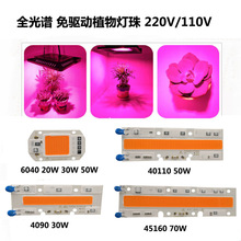 ������������ѹ220V COB��Դ 110Vȫ����ֲ������LED����羳����